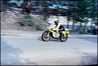 78 Imatra - Kenny Roberts 250cc.jpg